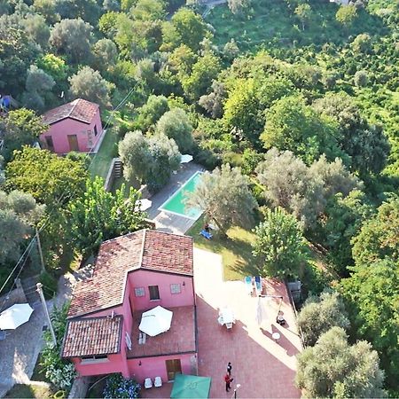 Гостевой дом Agricontura Capri Leone Номер фото