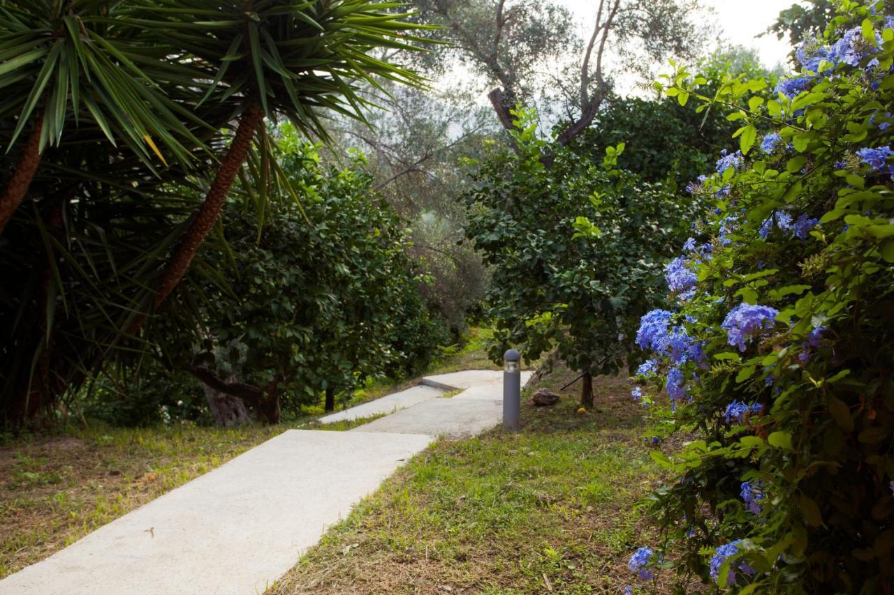 Гостевой дом Agricontura Capri Leone Экстерьер фото